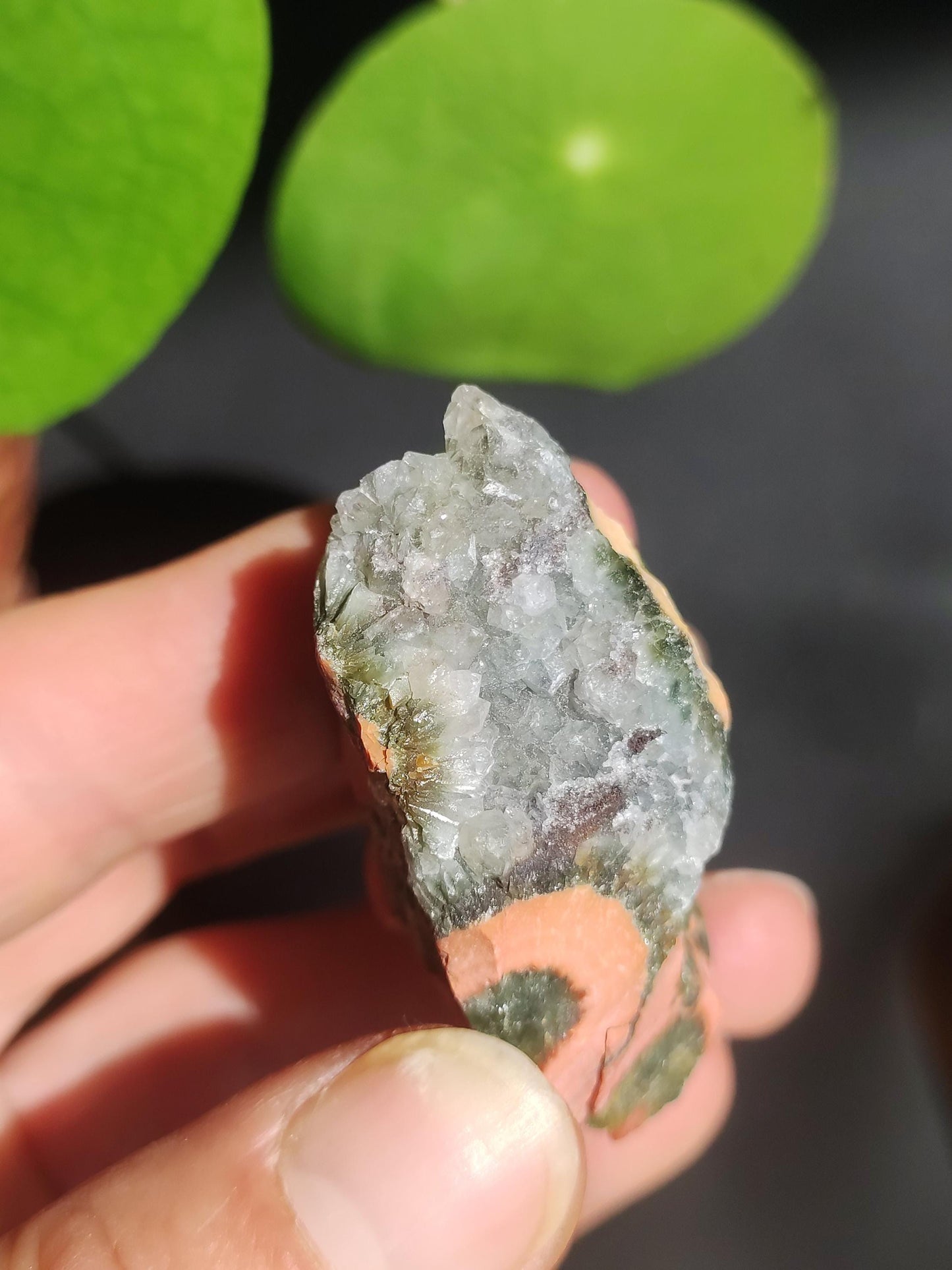 8 Adern Ocean Jaspis Orbicular + Geode roh Stufe XL Stein Rarität Natur Heilstein Deko Kristall Geschenk Er Sie Mann Frau Selten Sammler