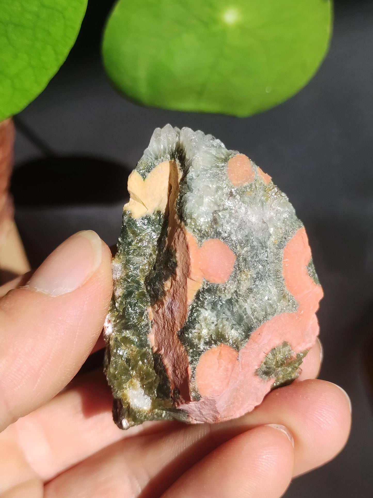 8 Adern Ocean Jaspis Orbicular + Geode roh Stufe XL Stein Rarität Natur Heilstein Deko Kristall Geschenk Er Sie Mann Frau Selten Sammler
