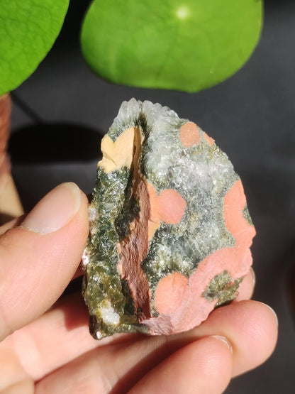 8 Adern Ocean Jaspis Orbicular + Geode roh Stufe XL Stein Rarität Natur Heilstein Deko Kristall Geschenk Er Sie Mann Frau Selten Sammler