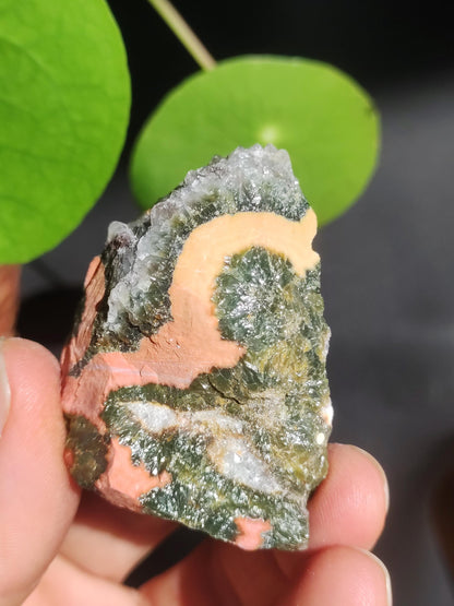 8 Adern Ocean Jaspis Orbicular + Geode roh Stufe XL Stein Rarität Natur Heilstein Deko Kristall Geschenk Er Sie Mann Frau Selten Sammler