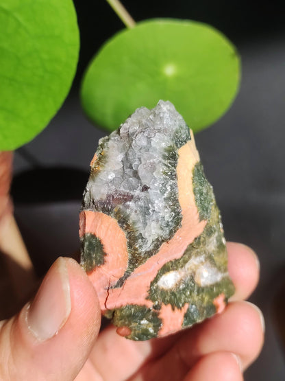 8 Adern Ocean Jaspis Orbicular + Geode roh Stufe XL Stein Rarität Natur Heilstein Deko Kristall Geschenk Er Sie Mann Frau Selten Sammler