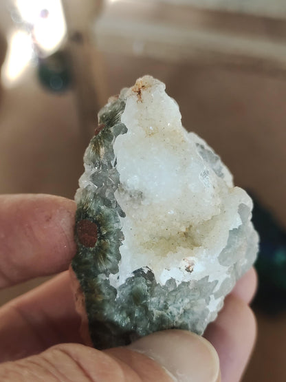8 Adern Ocean Jaspis Orbicular + Geode roh Stufe XL Stein Rarität Natur Heilstein Deko Kristall Geschenk Er Sie Mann Frau Selten Sammler