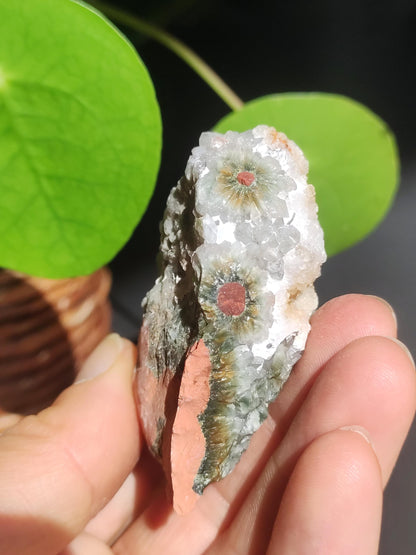 8 Adern Ocean Jaspis Orbicular + Geode roh Stufe XL Stein Rarität Natur Heilstein Deko Kristall Geschenk Er Sie Mann Frau Selten Sammler