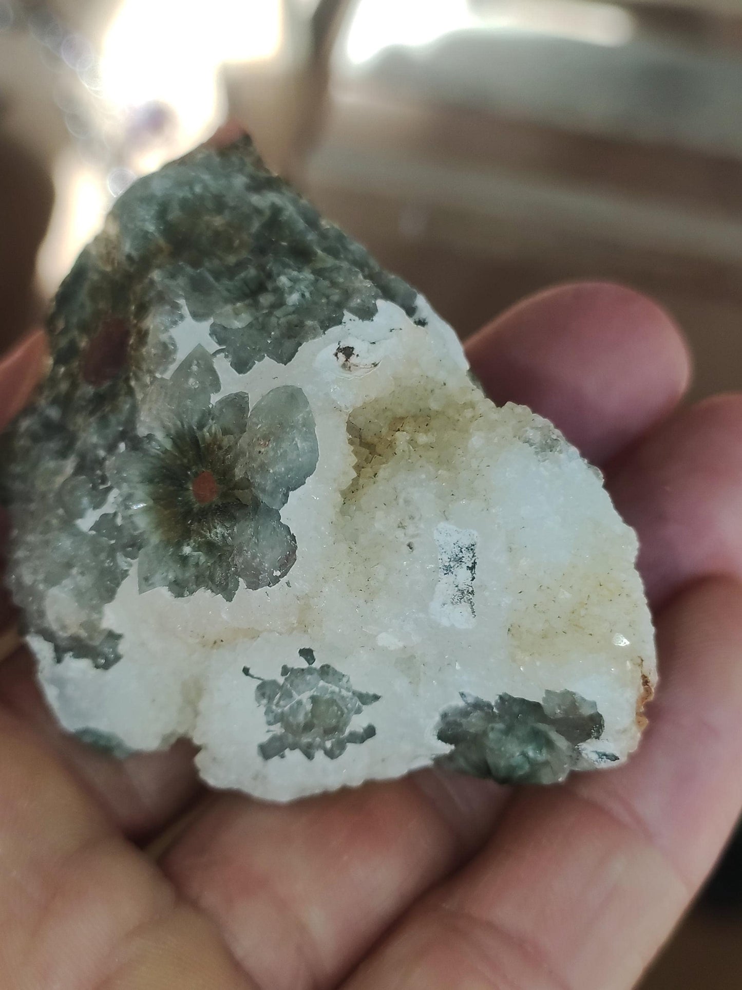 8 Adern Ocean Jaspis Orbicular + Geode roh Stufe XL Stein Rarität Natur Heilstein Deko Kristall Geschenk Er Sie Mann Frau Selten Sammler