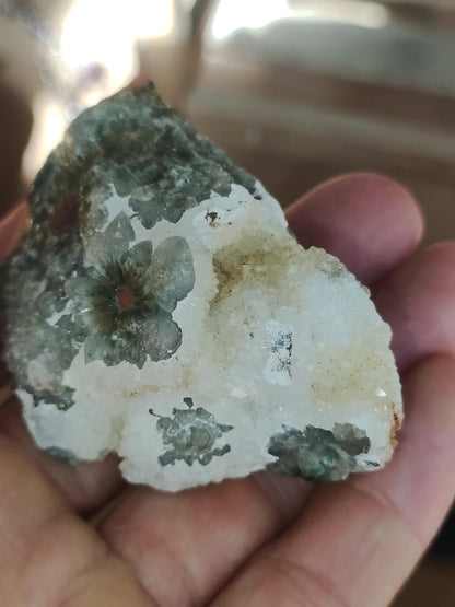 8 Adern Ocean Jaspis Orbicular + Geode roh Stufe XL Stein Rarität Natur Heilstein Deko Kristall Geschenk Er Sie Mann Frau Selten Sammler