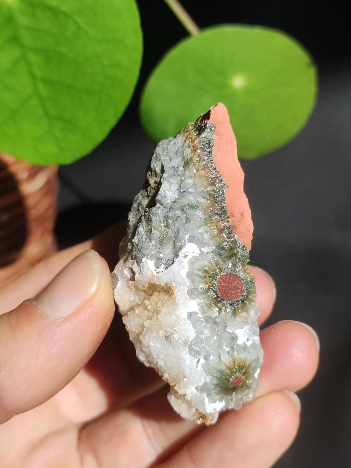 8 Adern Ocean Jaspis Orbicular + Geode roh Stufe XL Stein Rarität Natur Heilstein Deko Kristall Geschenk Er Sie Mann Frau Selten Sammler