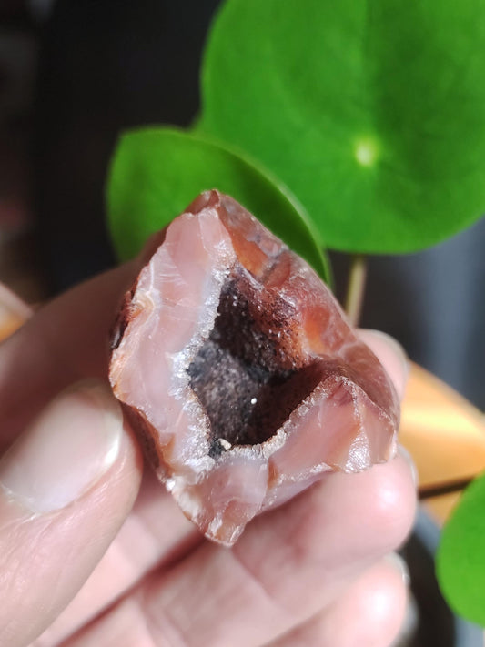 Geode Carneol / Karneol roh Stufe Heilstein Sammler ~Chakra ~Heilstein ~Naturmedizin ~Energiewasser