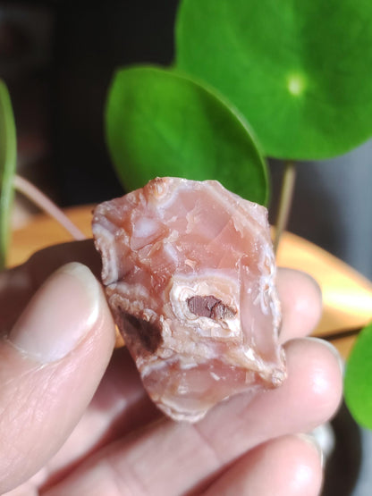 Géode Cornaline brute Pierre de guérison de collection ~Chakra ~Pierre de guérison ~Naturopathie ~Eau énergisée