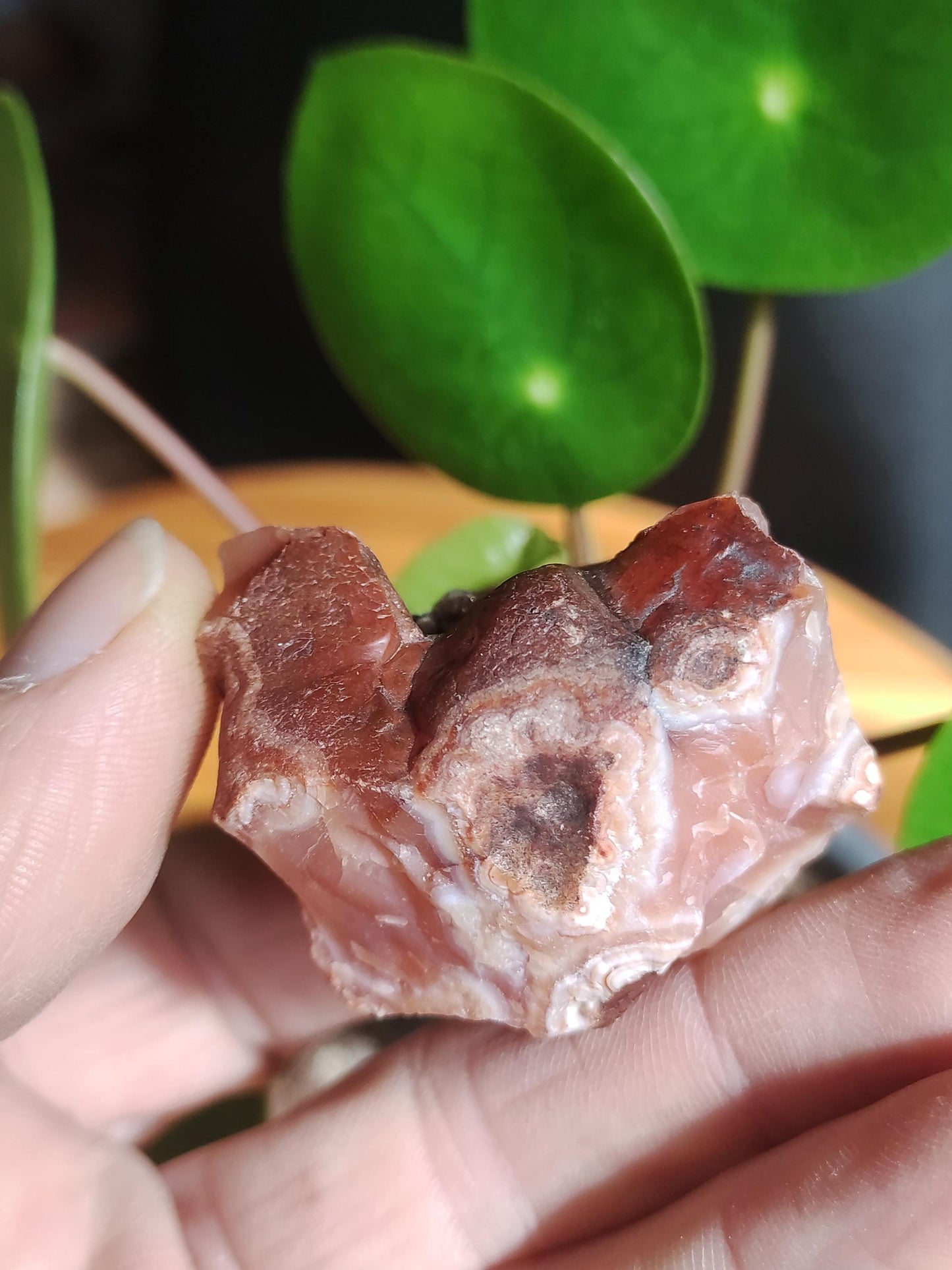 Géode Cornaline brute Pierre de guérison de collection ~Chakra ~Pierre de guérison ~Naturopathie ~Eau énergisée