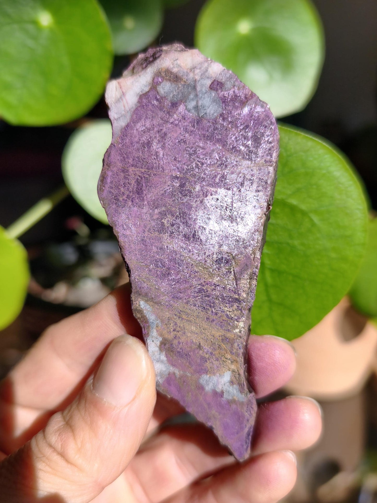 XL Purpurite Collector Raw Specimen Decor Mineral Africa Namibia Healing Stone Crystals Man Woman Child Gift Him Her Brother Sister Mineral Decor