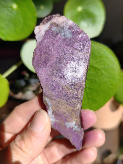 XL Purpurite Collector Raw Specimen Decor Mineral Africa Namibia Healing Stone Crystals Man Woman Child Gift Him Her Brother Sister Mineral Decor