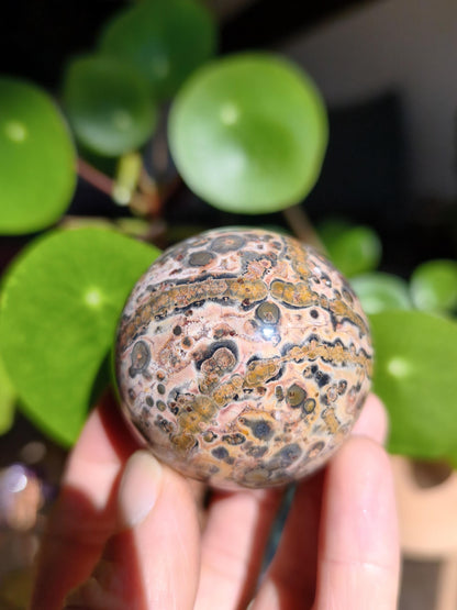 Leopard Jasper Red Yellow ~ Magical Gemstone Sphere Collector's Decor Crystal Sphere Meditation Home Living Energy Chakra Healing Stone