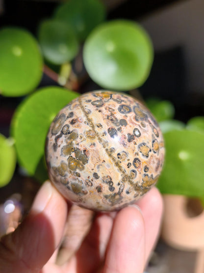 Leopard Jasper Red Yellow ~ Magical Gemstone Sphere Collector's Decor Crystal Sphere Meditation Home Living Energy Chakra Healing Stone