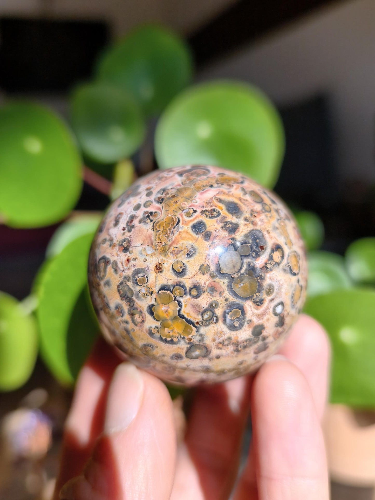 Leopard Jasper Red Yellow ~ Magical Gemstone Sphere Collector's Decor Crystal Sphere Meditation Home Living Energy Chakra Healing Stone