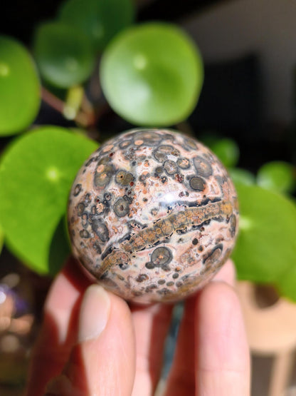 Leopard Jasper Red Yellow ~ Magical Gemstone Sphere Collector's Decor Crystal Sphere Meditation Home Living Energy Chakra Healing Stone