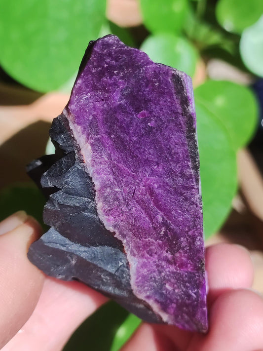 Sugilite Raw -A- *Rarity* Sugilite ~ Gemstone Decoration Crystal Meditation Energy Healing Stone Rarity Rare Collector Investment Investment