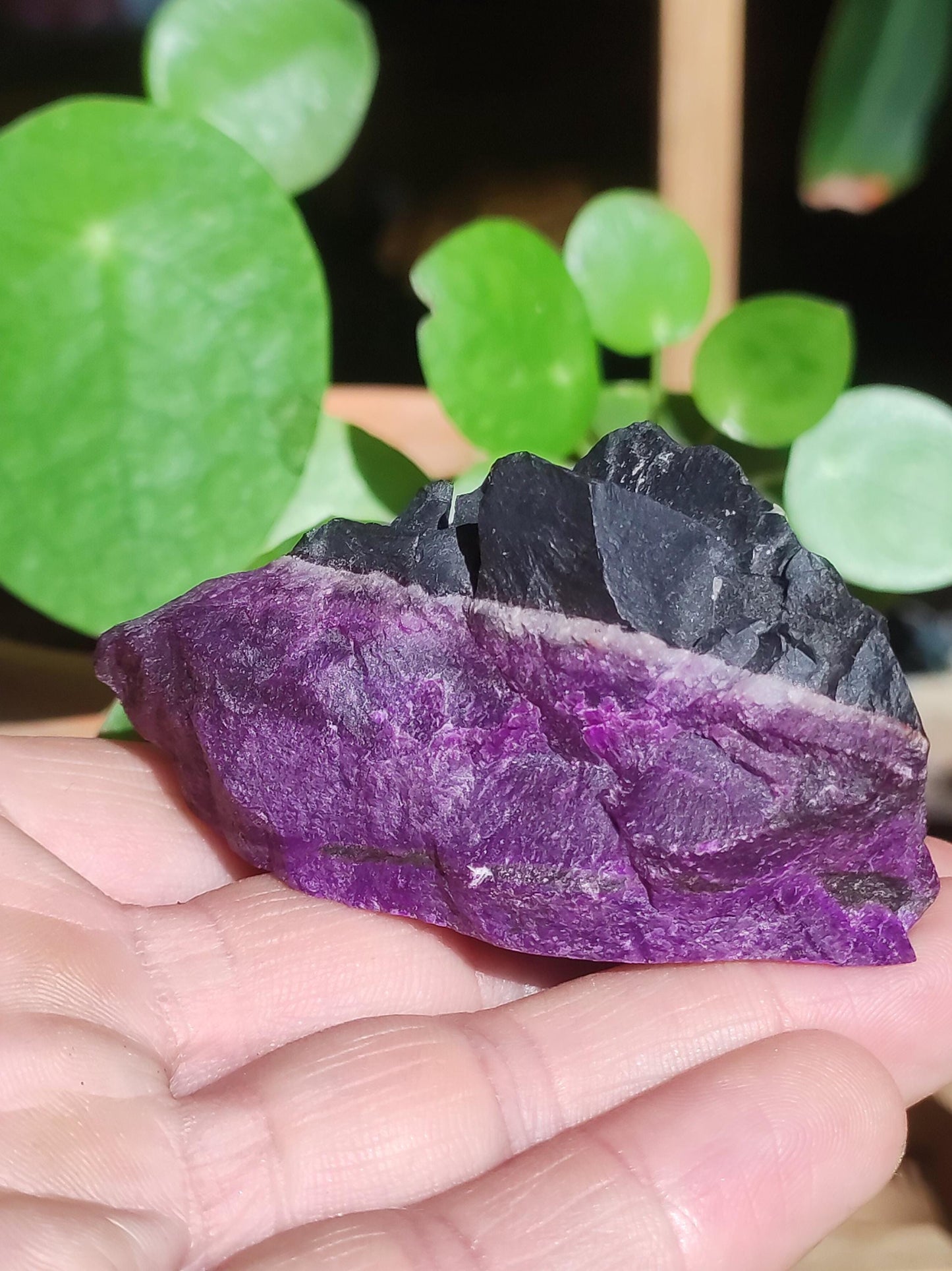 Sugilith Roh -A- *Rarität* Sugilite ~  Edelstein Deko Kristall Meditation Energie Heilstein Rarität Selten Sammler Investition Wertanlage