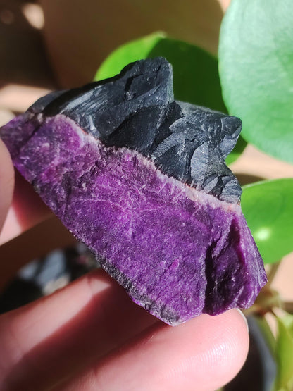 Sugilith Roh -A- *Rarität* Sugilite ~  Edelstein Deko Kristall Meditation Energie Heilstein Rarität Selten Sammler Investition Wertanlage