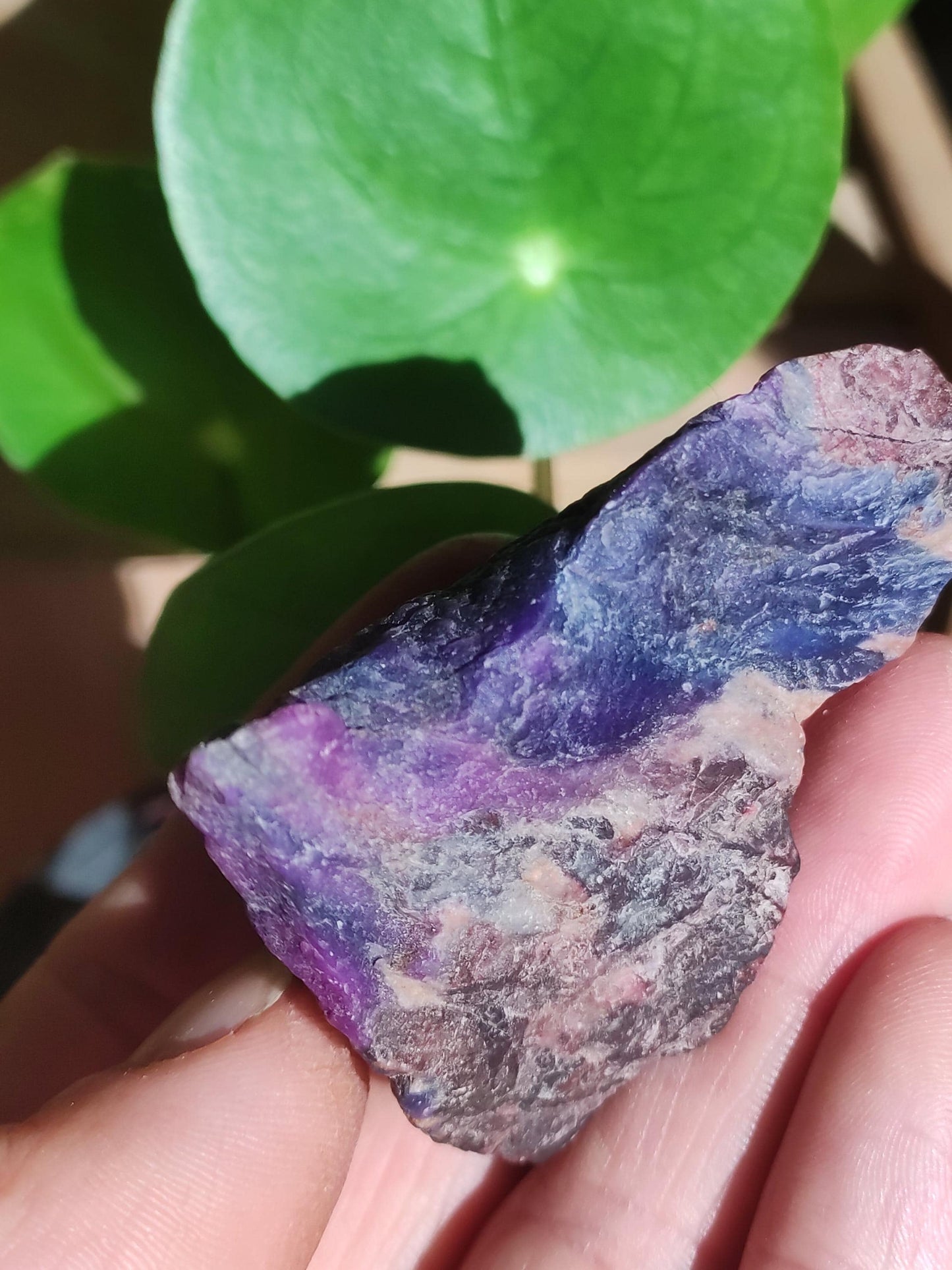 Sugilite & Richterite Bruts A *Rareté* ~ Pierre précieuse Décoration Cristal Méditation Énergie Lithothérapie Rareté Rare Collection Investissement Valeur