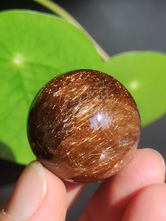 AAA Rutilated Quartz ~ Magical Gemstone Ball Decoration Sphere Clear Meditation Natural Healing Stone Living Collector Rarity High Quality Art of Nature