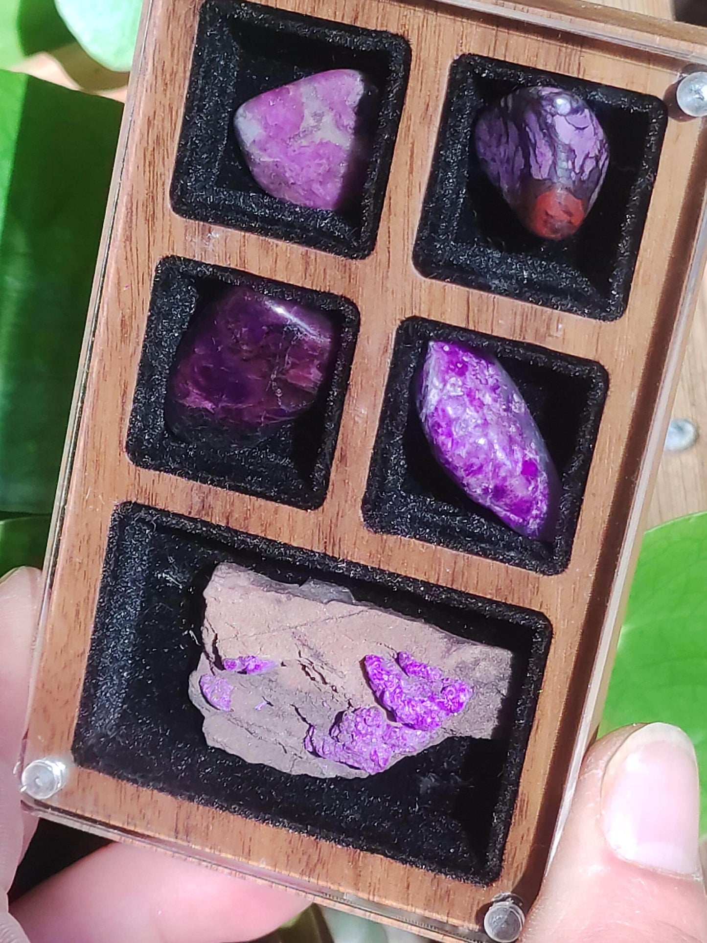 Collectionneur Sugilite SET Brut Fibreuse Sugilite + 4x Pierres Roulées AAA Pierre Précieuse Décoration Cristal Pierre de Guérison Rareté Rare Rareté Qualité Cadeau