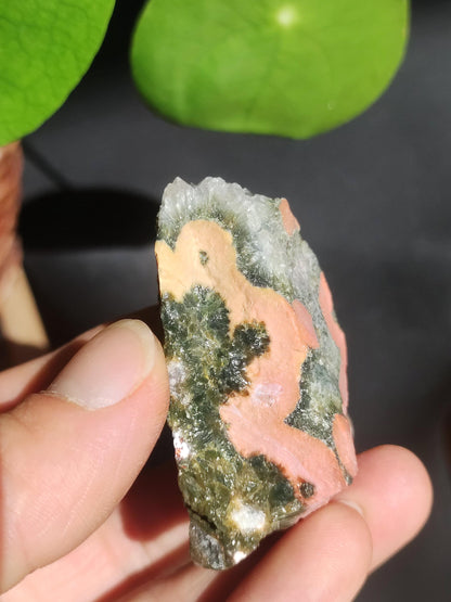 8 Adern Ocean Jaspis Orbicular + Geode roh Stufe XL Stein Rarität Natur Heilstein Deko Kristall Geschenk Er Sie Mann Frau Selten Sammler