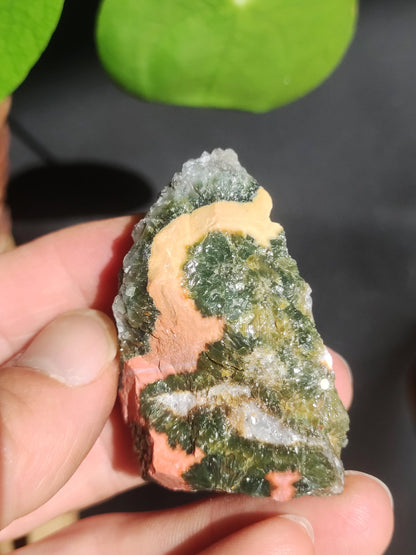 8 Adern Ocean Jaspis Orbicular + Geode roh Stufe XL Stein Rarität Natur Heilstein Deko Kristall Geschenk Er Sie Mann Frau Selten Sammler