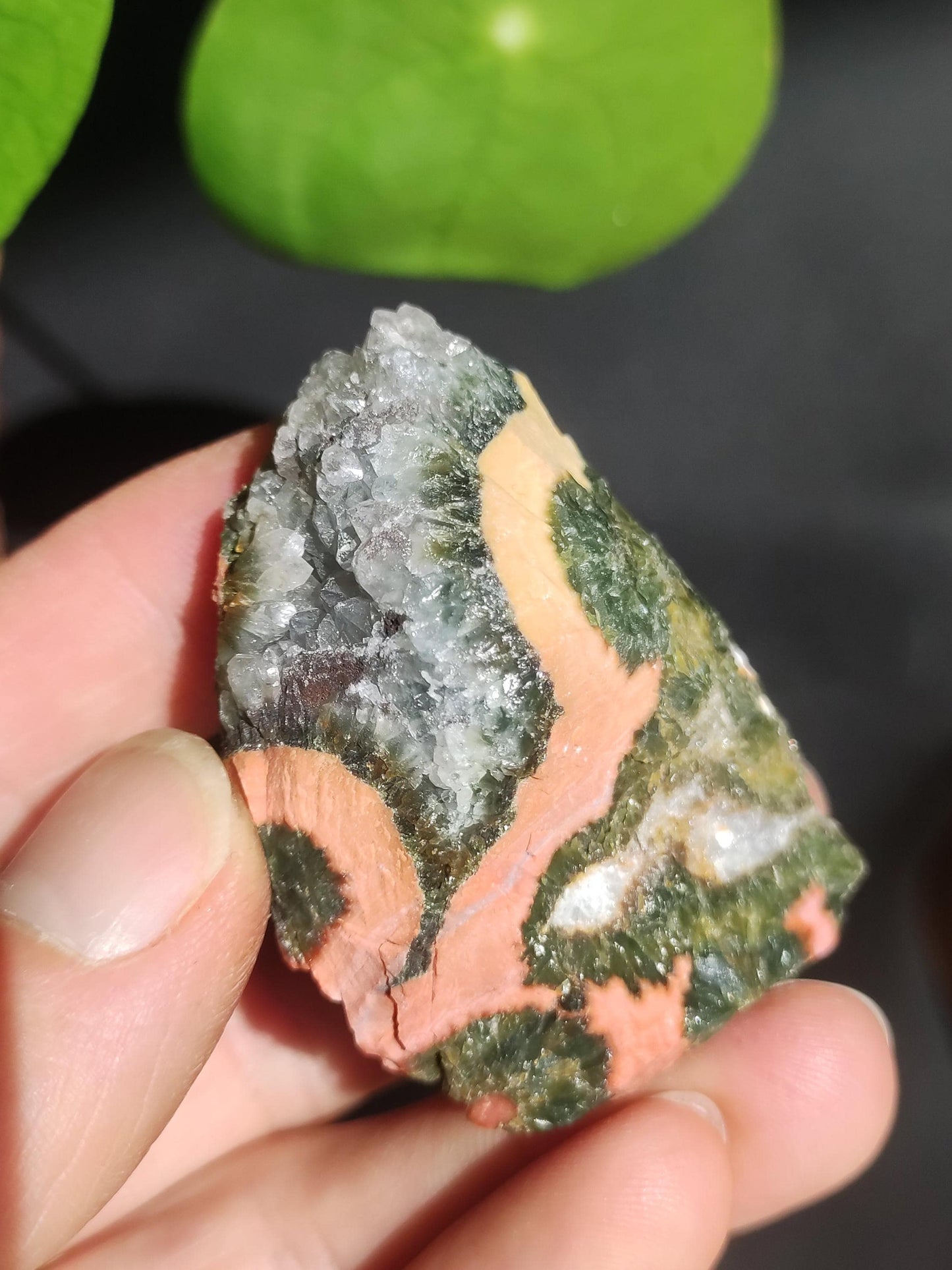 8 Adern Ocean Jaspis Orbicular + Geode roh Stufe XL Stein Rarität Natur Heilstein Deko Kristall Geschenk Er Sie Mann Frau Selten Sammler