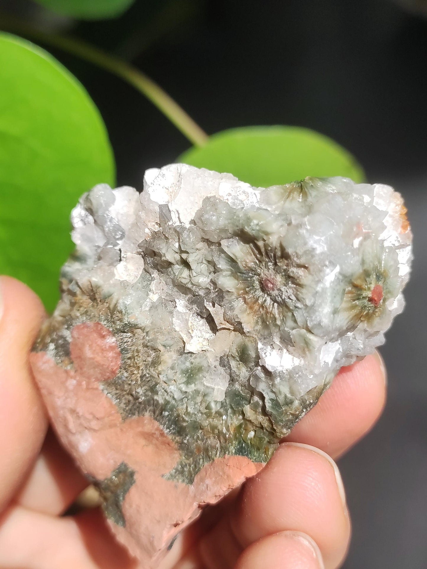 8 Adern Ocean Jaspis Orbicular + Geode roh Stufe XL Stein Rarität Natur Heilstein Deko Kristall Geschenk Er Sie Mann Frau Selten Sammler