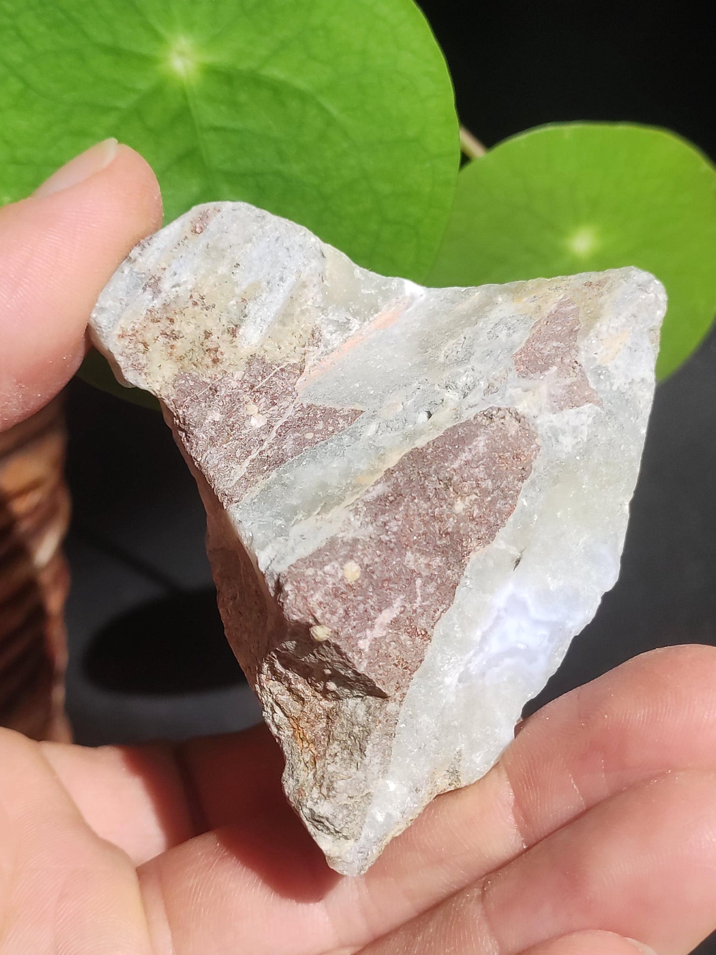 Calcédoine brute de grade A - Pierre précieuse de collection, pierre naturelle de guérison, minéral, énergie, chakra, décoration intérieure, cadeau pour elle, lui, homme, femme, bleue