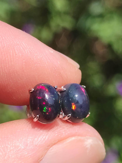 Ethiopian Black Opal AAA - 925 Sterling Silber bunt Ohrstecker Ohrringe Edelstein Heilstein Energie Frau Geschenk Schmuck Edel Rarität