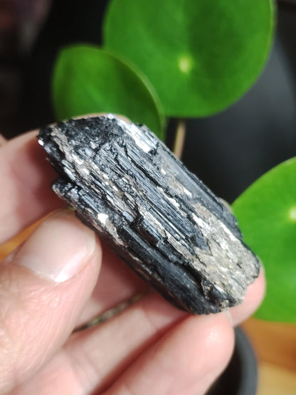 Black Tourmaline (Schorl) - Raw Polished Specimen - Large Decorative Piece Energy Healing Radiation Protection Stone Gemstone Gift Home Apartment