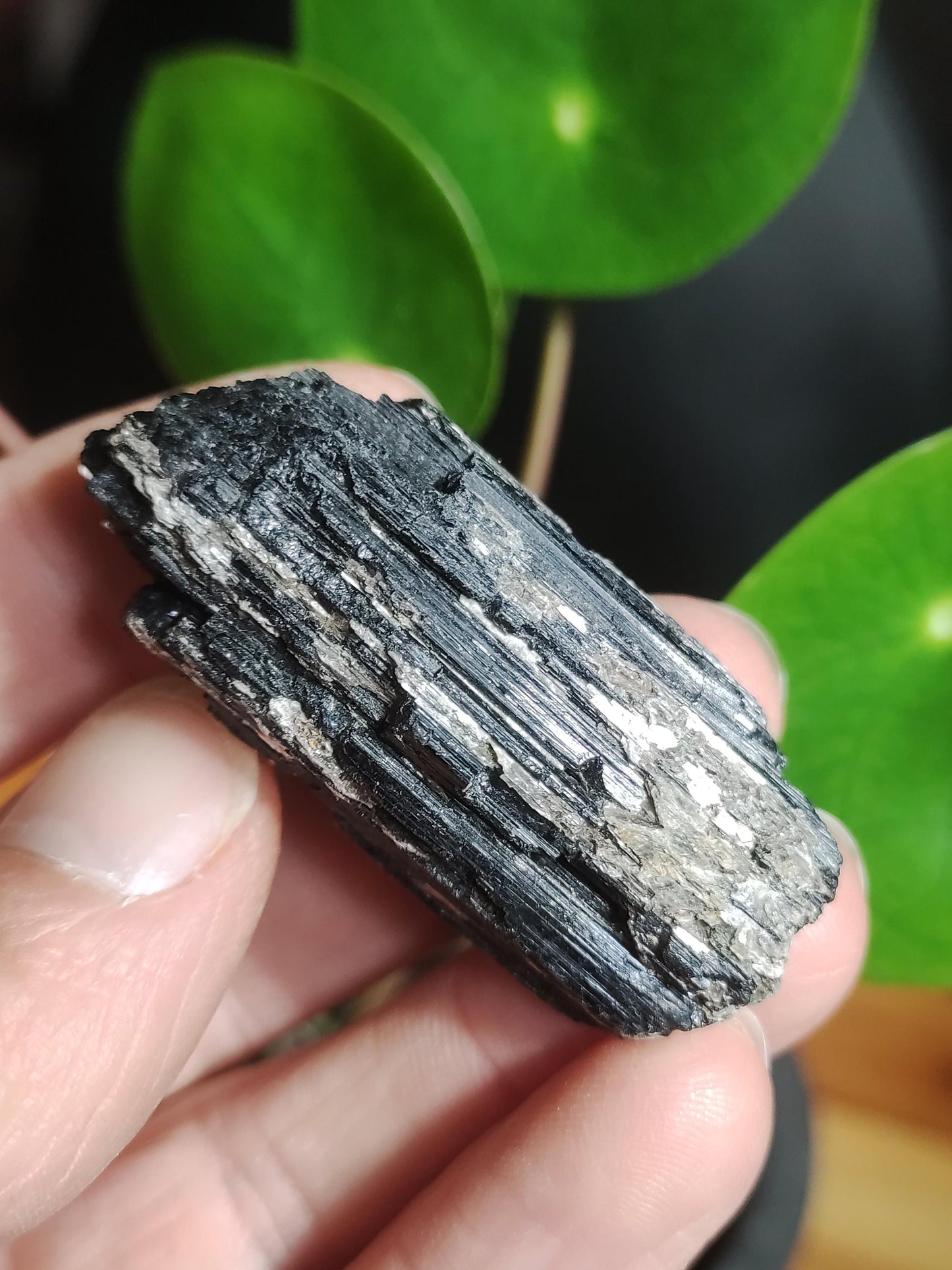 Black Tourmaline (Schorl) - Raw Polished Specimen - Large Decorative Piece Energy Healing Radiation Protection Stone Gemstone Gift Home Apartment