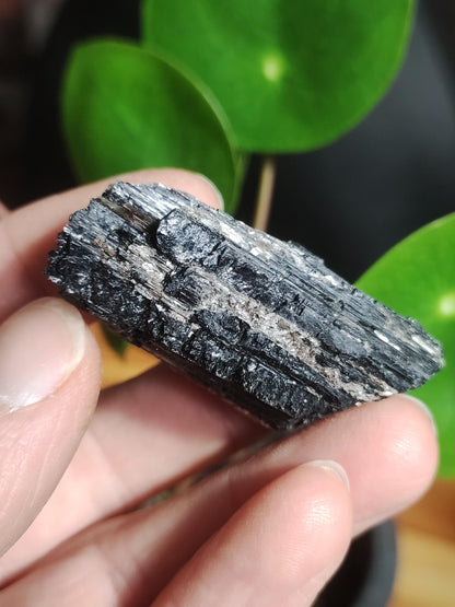 Black Tourmaline (Schorl) - Raw Polished Specimen - Large Decorative Piece Energy Healing Radiation Protection Stone Gemstone Gift Home Apartment