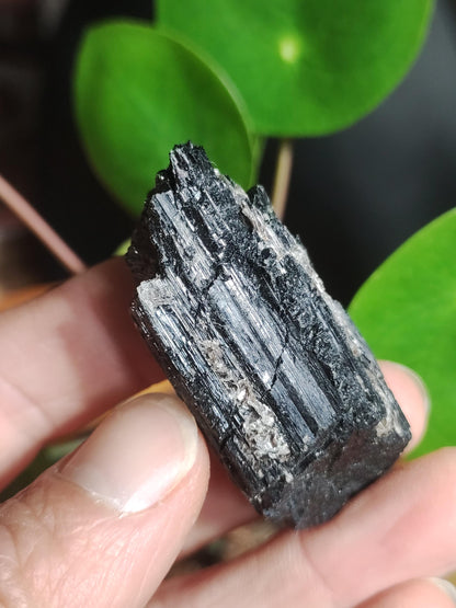 Black Tourmaline (Schorl) - Raw Polished Specimen - Large Decorative Piece Energy Healing Radiation Protection Stone Gemstone Gift Home Apartment