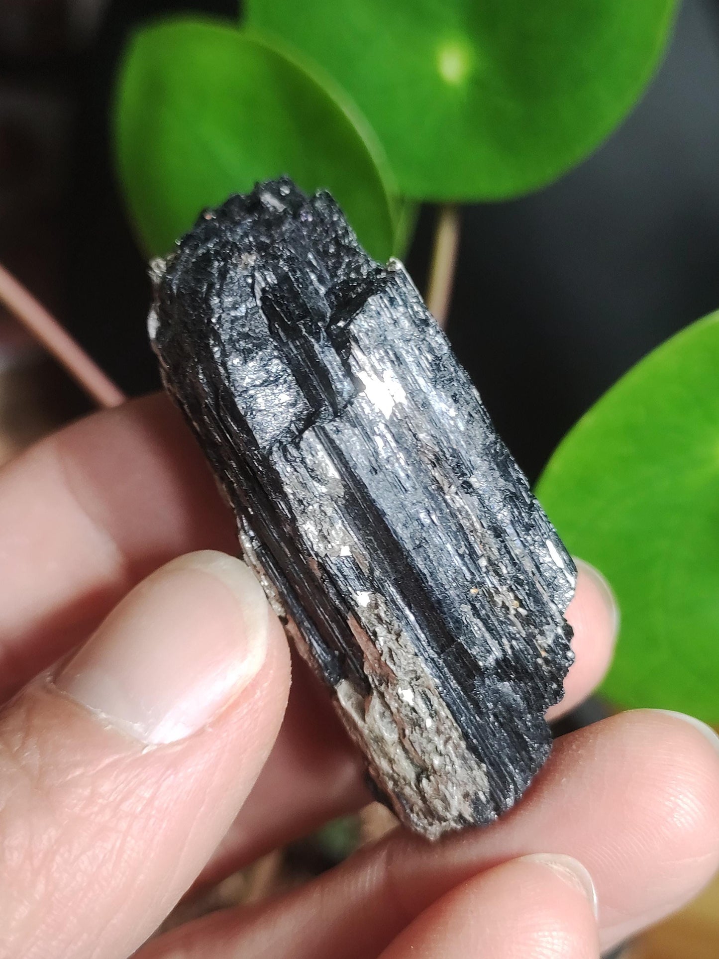 Black Tourmaline (Schorl) - Raw Polished Specimen - Large Decorative Piece Energy Healing Radiation Protection Stone Gemstone Gift Home Apartment