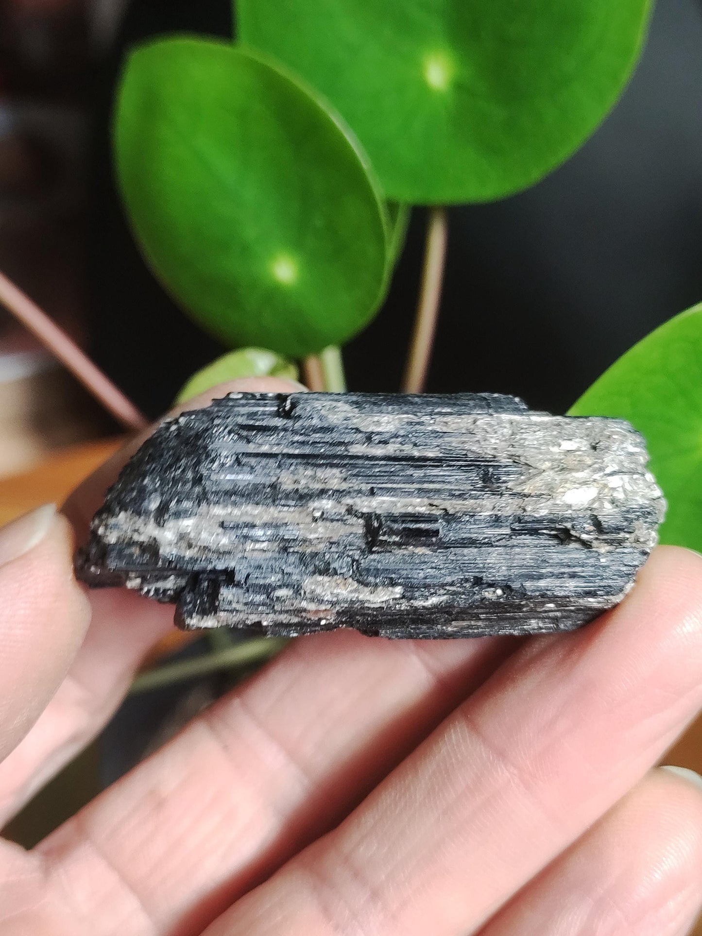 Black Tourmaline (Schorl) - Raw Polished Specimen - Large Decorative Piece Energy Healing Radiation Protection Stone Gemstone Gift Home Apartment
