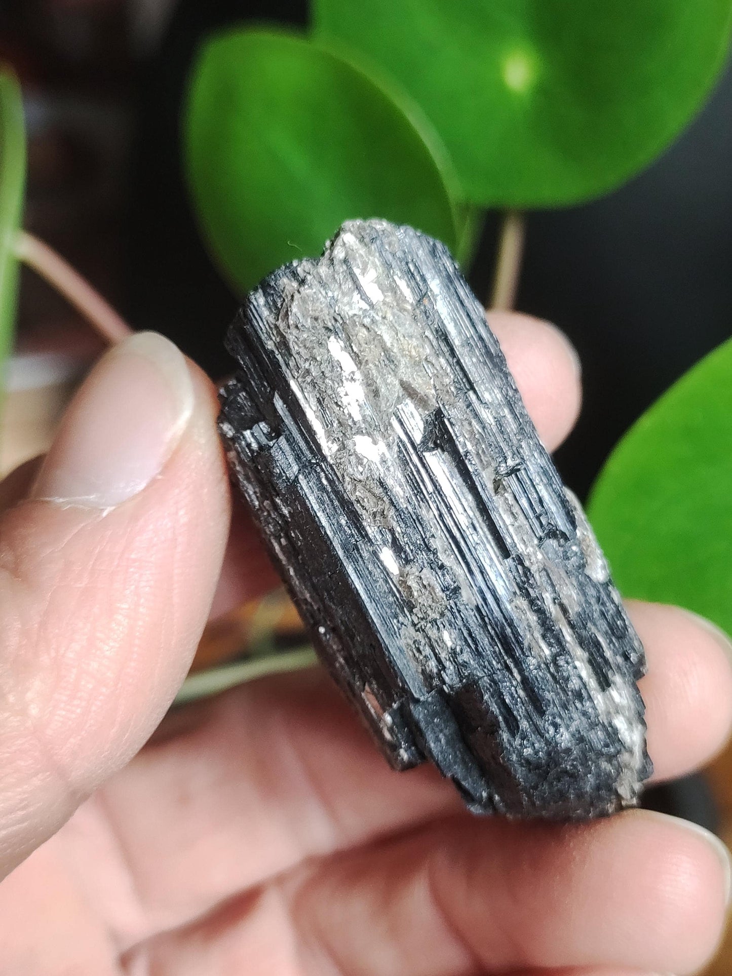 Black Tourmaline (Schorl) - Raw Polished Specimen - Large Decorative Piece Energy Healing Radiation Protection Stone Gemstone Gift Home Apartment