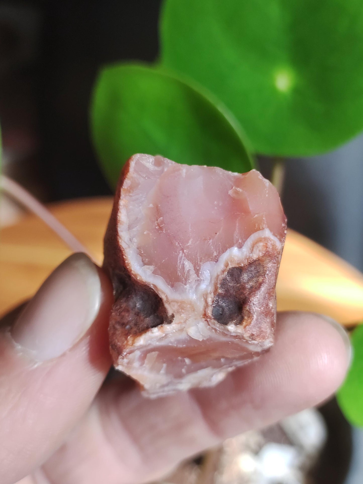 Géode Cornaline brute Pierre de guérison de collection ~Chakra ~Pierre de guérison ~Naturopathie ~Eau énergisée