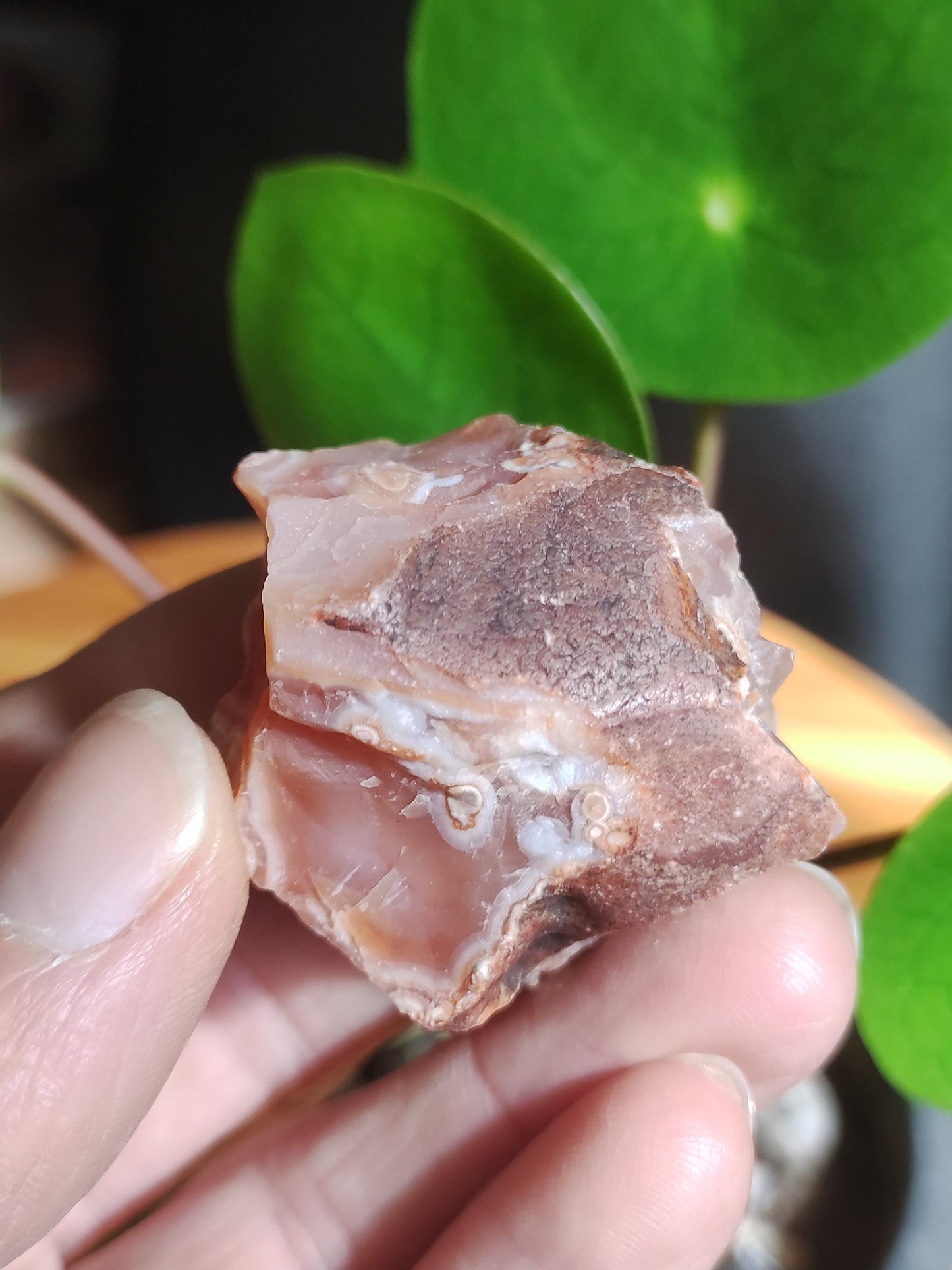 Géode Cornaline brute Pierre de guérison de collection ~Chakra ~Pierre de guérison ~Naturopathie ~Eau énergisée