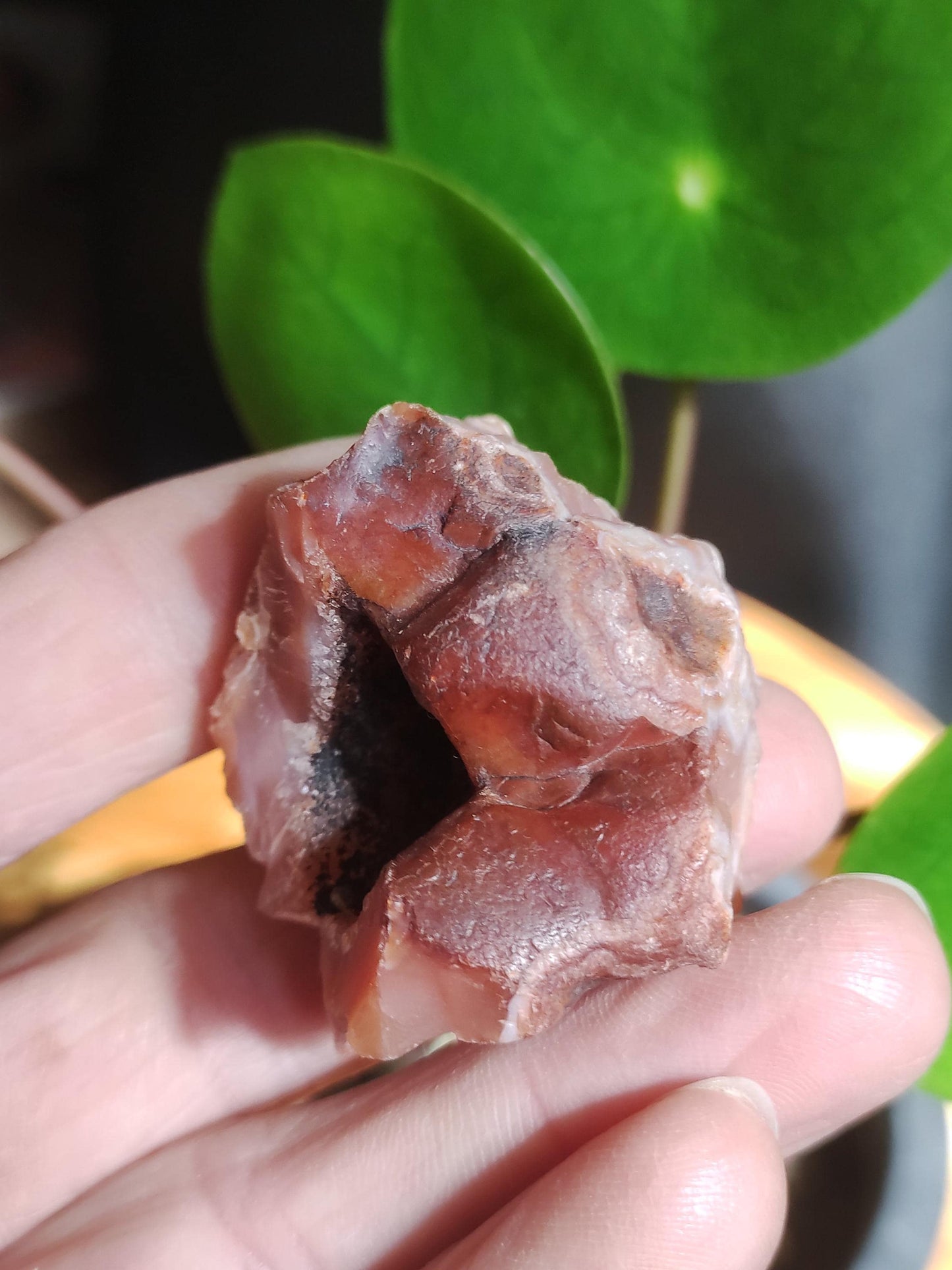 Géode Cornaline brute Pierre de guérison de collection ~Chakra ~Pierre de guérison ~Naturopathie ~Eau énergisée