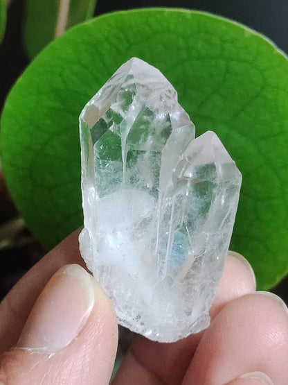 Quartz Rock Crystal Rainbow Point Collector's Grade Rarity Gemstone Decor Crystal Healing Stone Mineral Collection Energy Natural Unique Rare