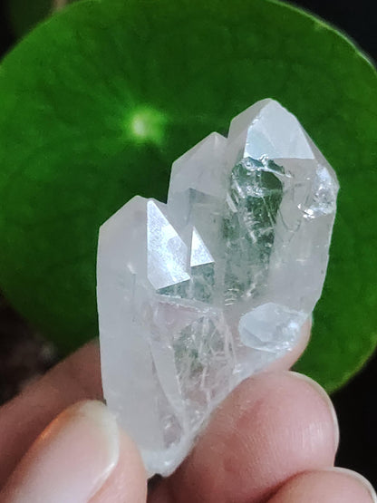 Quartz Rock Crystal Rainbow Point Collector's Grade Rarity Gemstone Decor Crystal Healing Stone Mineral Collection Energy Natural Unique Rare