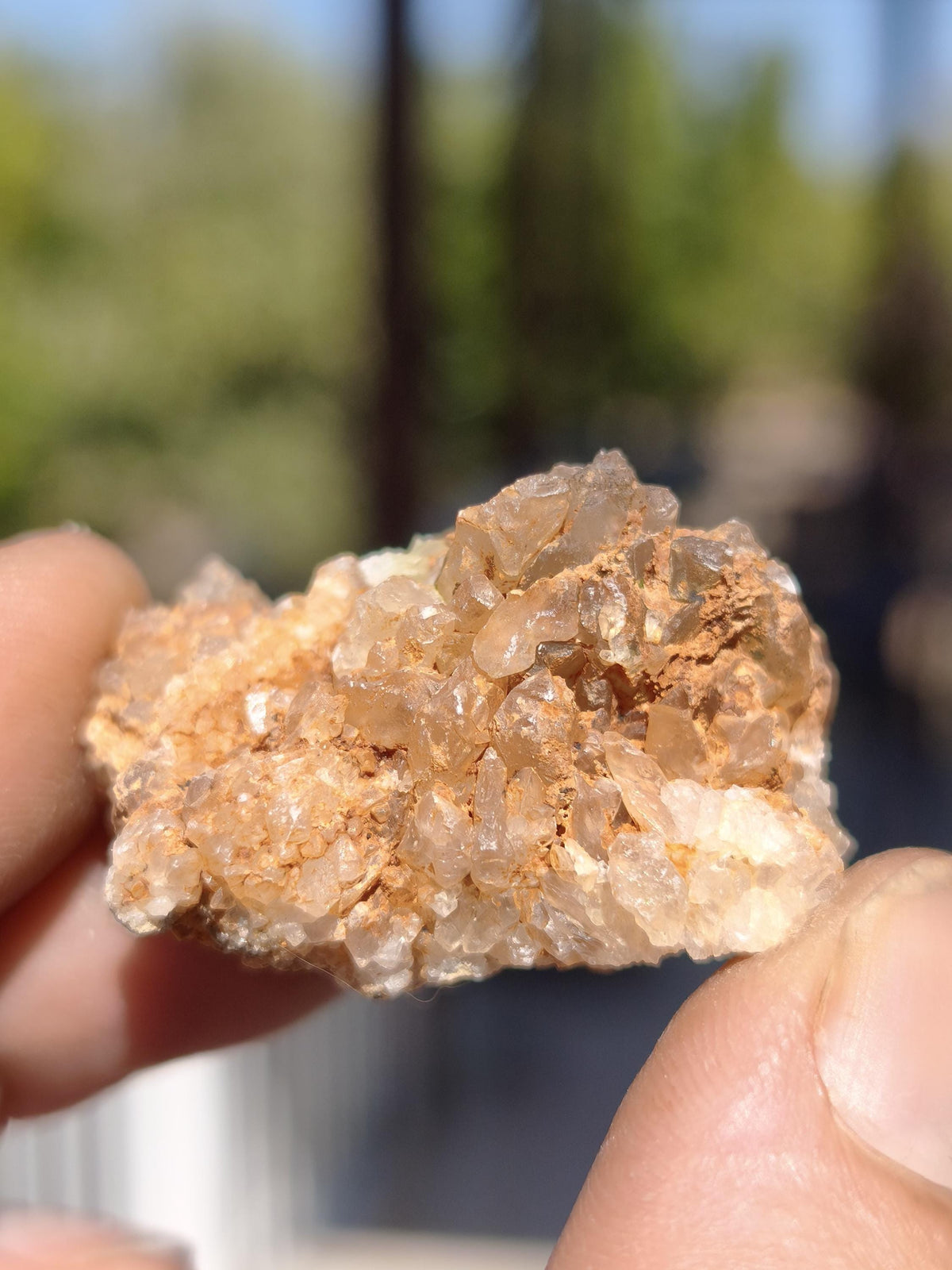 Calcite Roh Kristall Stufe  – Attavyros, Insel Rhodos Griechenland Sammler Mineralien Kristall Deko Selbstfund Geschenk Haus Wohnen gelb