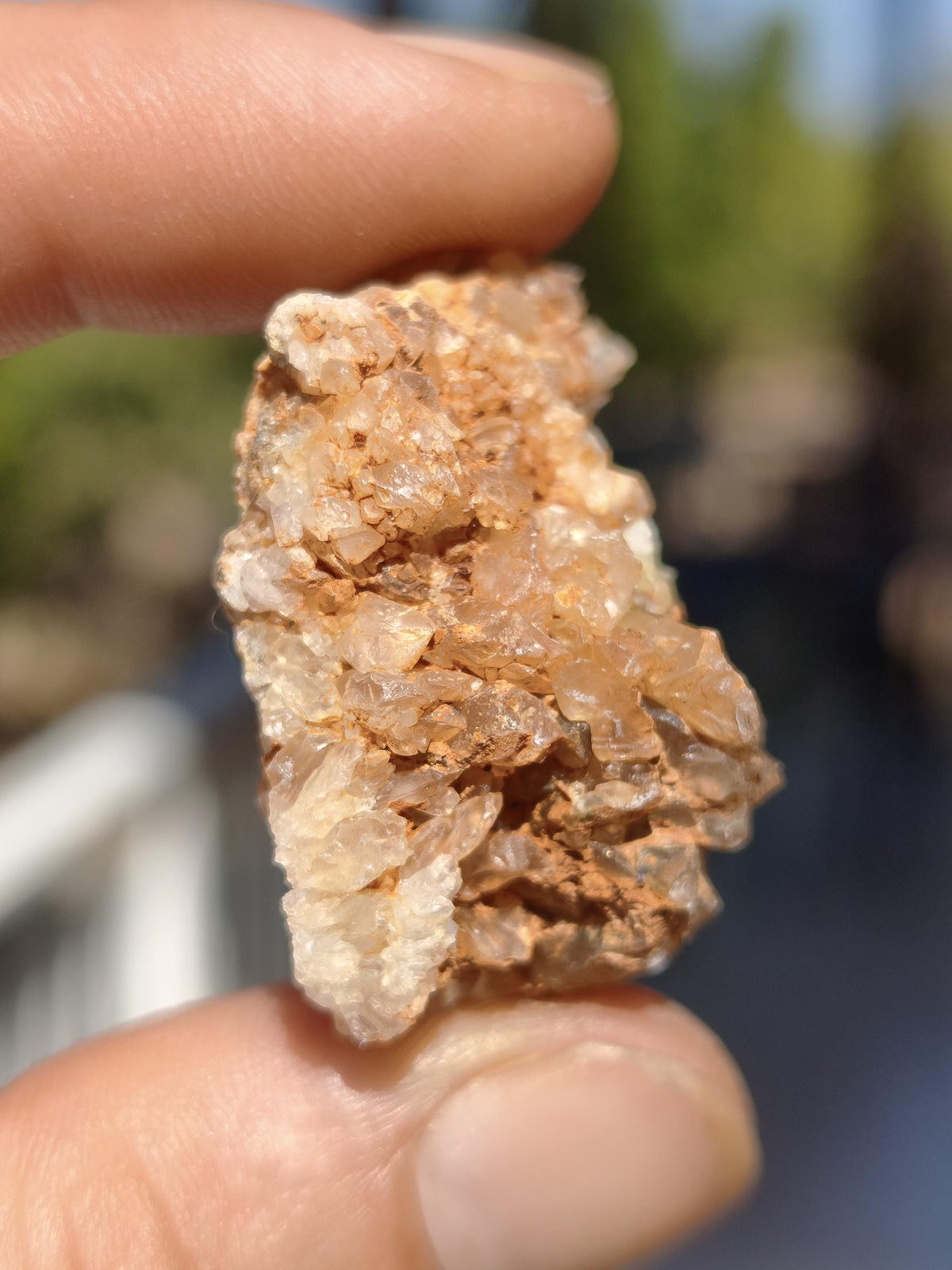 Calcite Roh Kristall Stufe  – Attavyros, Insel Rhodos Griechenland Sammler Mineralien Kristall Deko Selbstfund Geschenk Haus Wohnen gelb