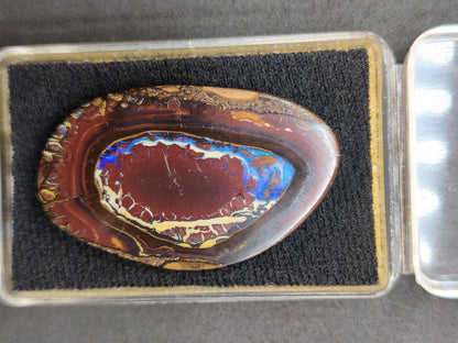 Boulder Opal Nuss AAA Sammlerstein Mineralien Kristalle Cabochon natürlich Heilstein Rarität Muster Australien Queensland
