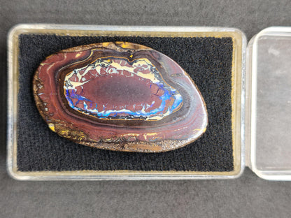 Boulder Opal Nuss AAA Sammlerstein Mineralien Kristalle Cabochon natürlich Heilstein Rarität Muster Australien Queensland