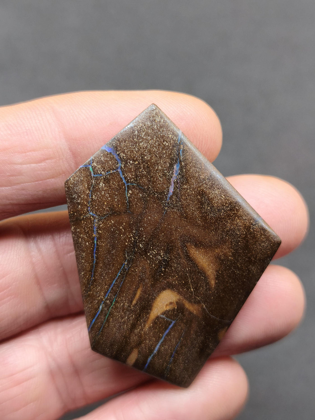 Boulder Opal AAA Sammlerstein Mineralien Kristalle Cabochon natürlich Heilstein Rarität Muster Australien Queensland