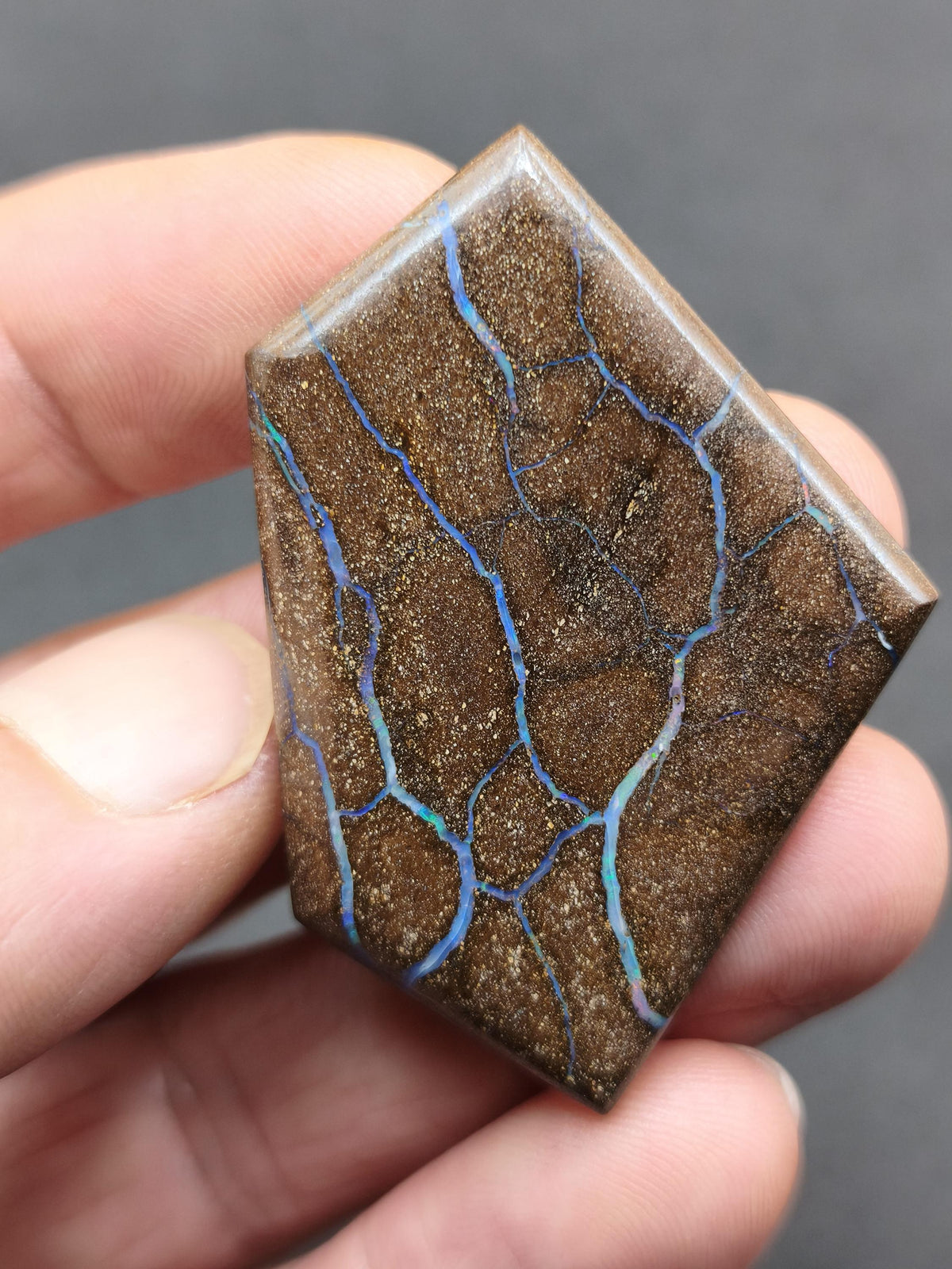 Boulder Opal AAA Sammlerstein Mineralien Kristalle Cabochon natürlich Heilstein Rarität Muster Australien Queensland