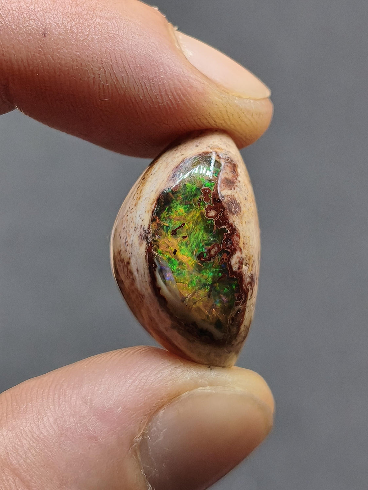 Feuer Opal Mexiko Cantera AAA Sammlerstein Mineralien Kristalle Kollektion Cabochon natürlich Heilstein Rarität Muster Selten Bunt Traumhaft